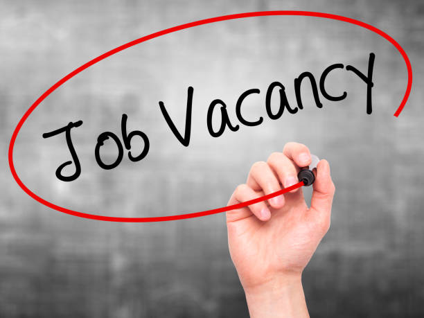 Man Hand writing Job Vacancy with black marker on visual screen. Isolated on background. Business, technology, internet concept. Stock Photo